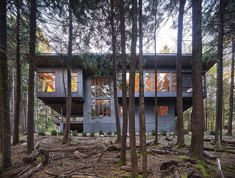 Earth-Toned Home Disappearing into the Woods