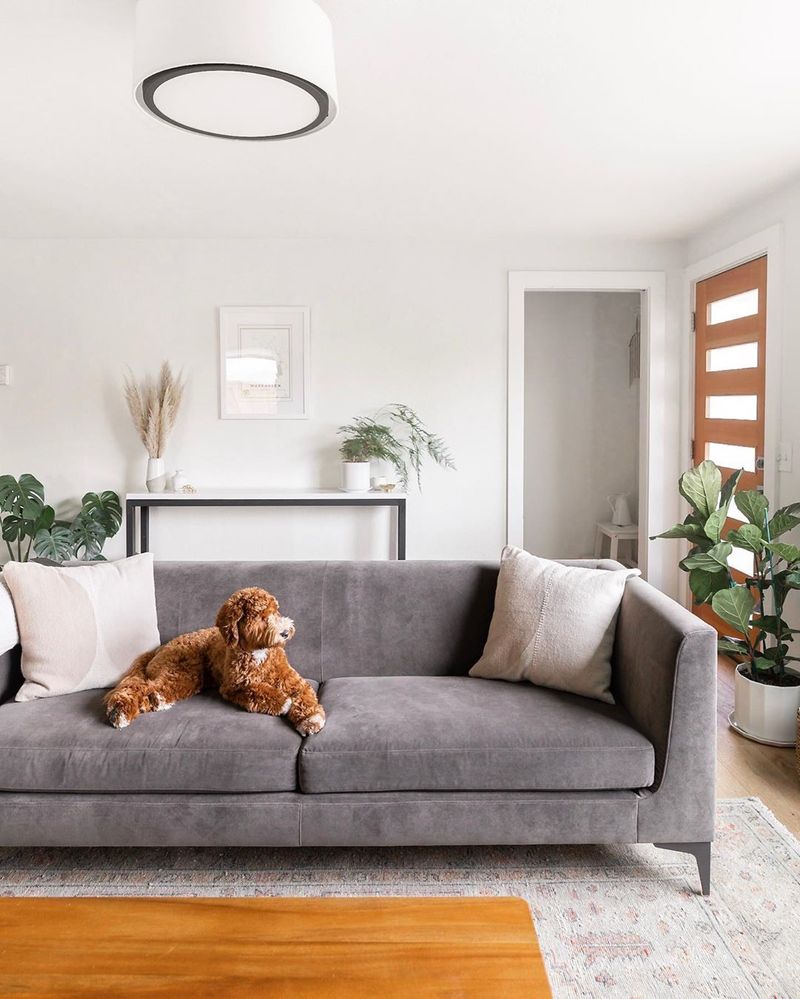Limited use of textiles like rugs or curtains