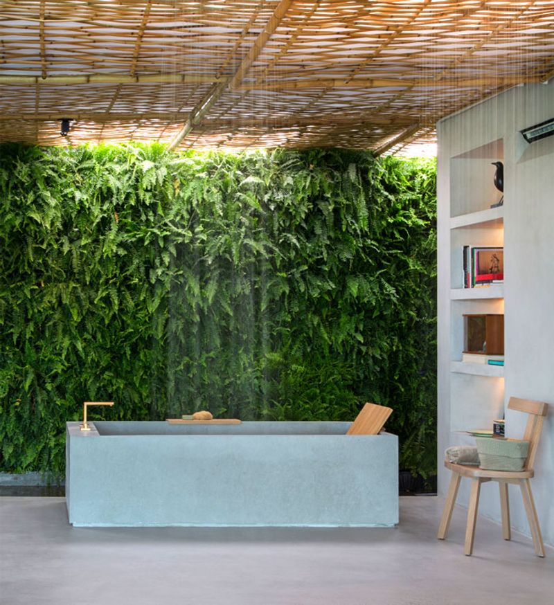Living Plant Walls