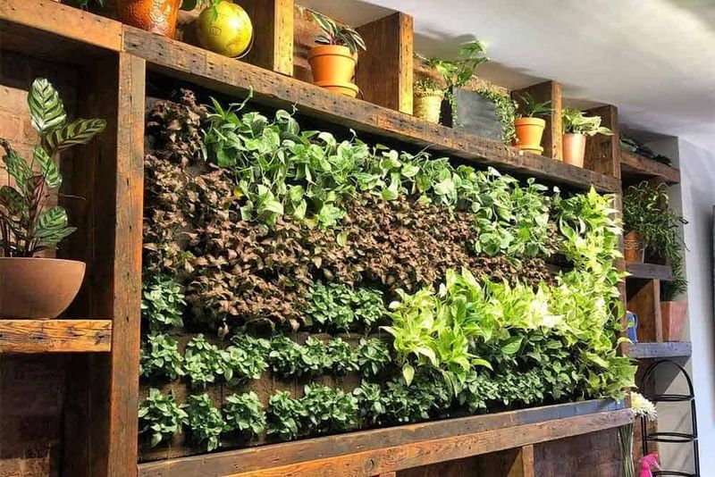 Living Walls Go Mainstream