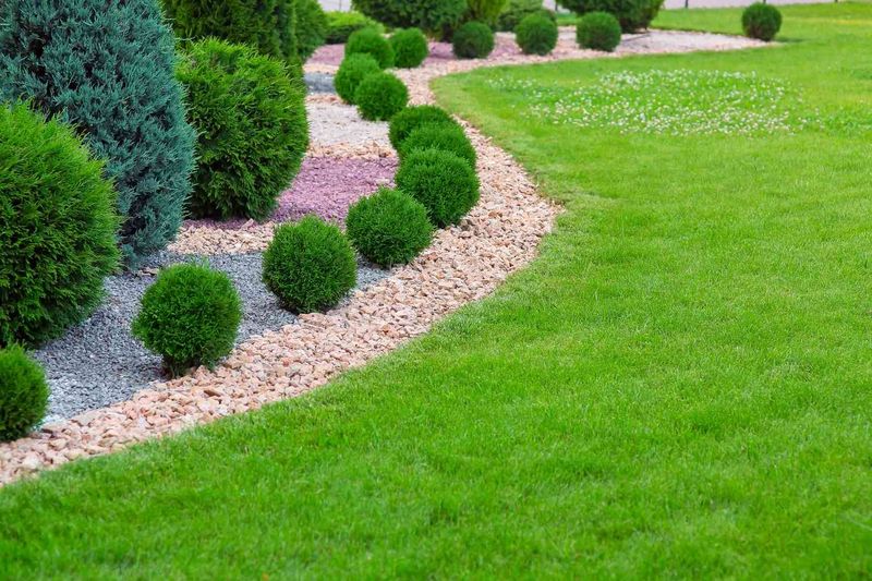 Lawn Edge Makeover