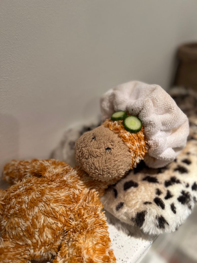 Old Stuffed Animals Or Plush Toys