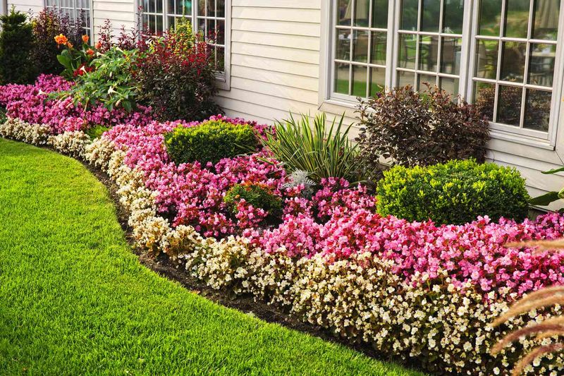 Define Edges With Border Plants