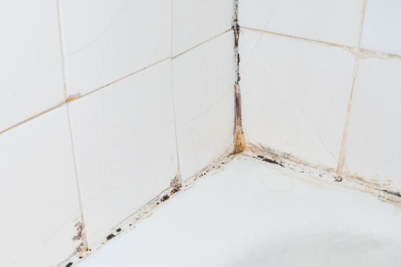 Grimy Grout Grief