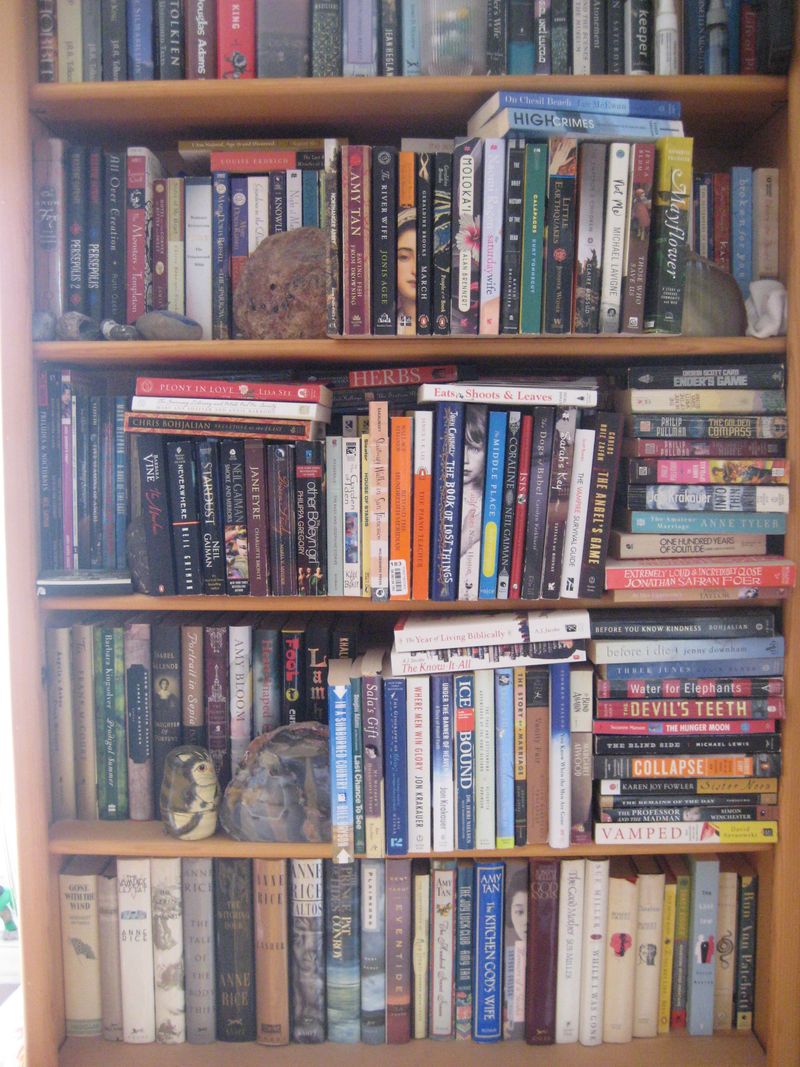 Cluttered Shelving with No Visual Breaks