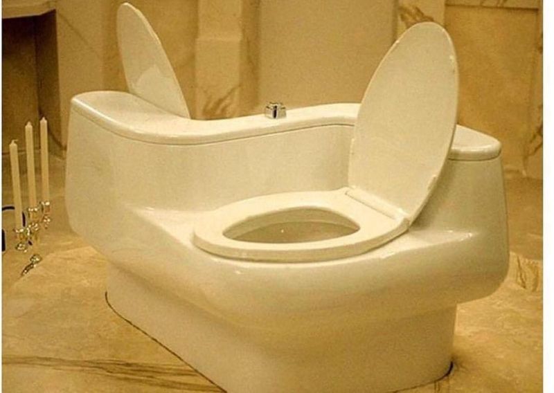 Overdoing The Toilet
