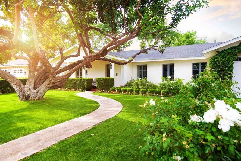 Professional Landscape Design
