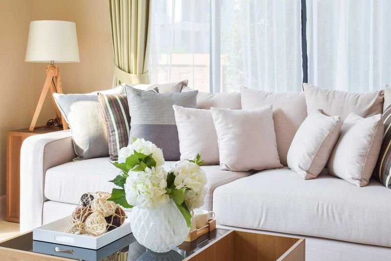 Throw Pillows or Cushions