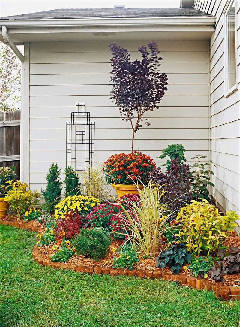 Add Curb Appeal with Plants