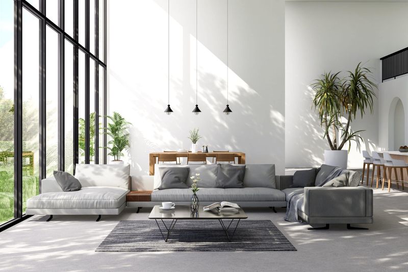 Let Natural Light Lead the Way