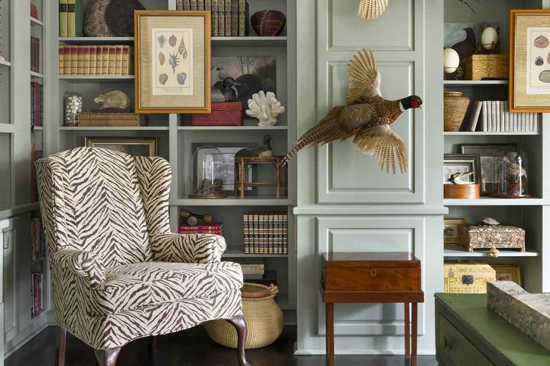Display Curated Collections