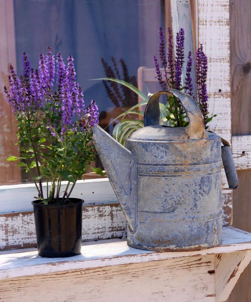 Repurposed Metal Watering Cans