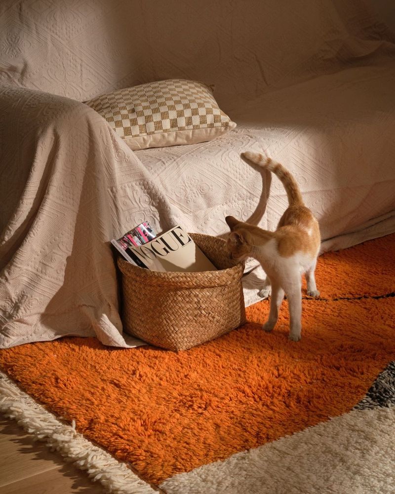 Shag Rug Revival