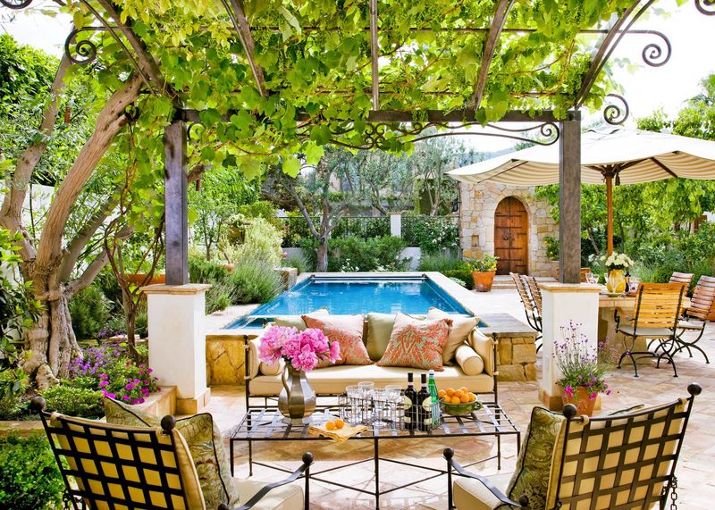 Plant Life In Abundance
