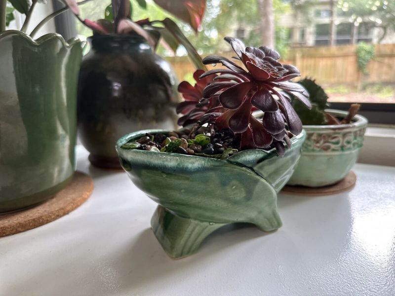 Ceramic Planters