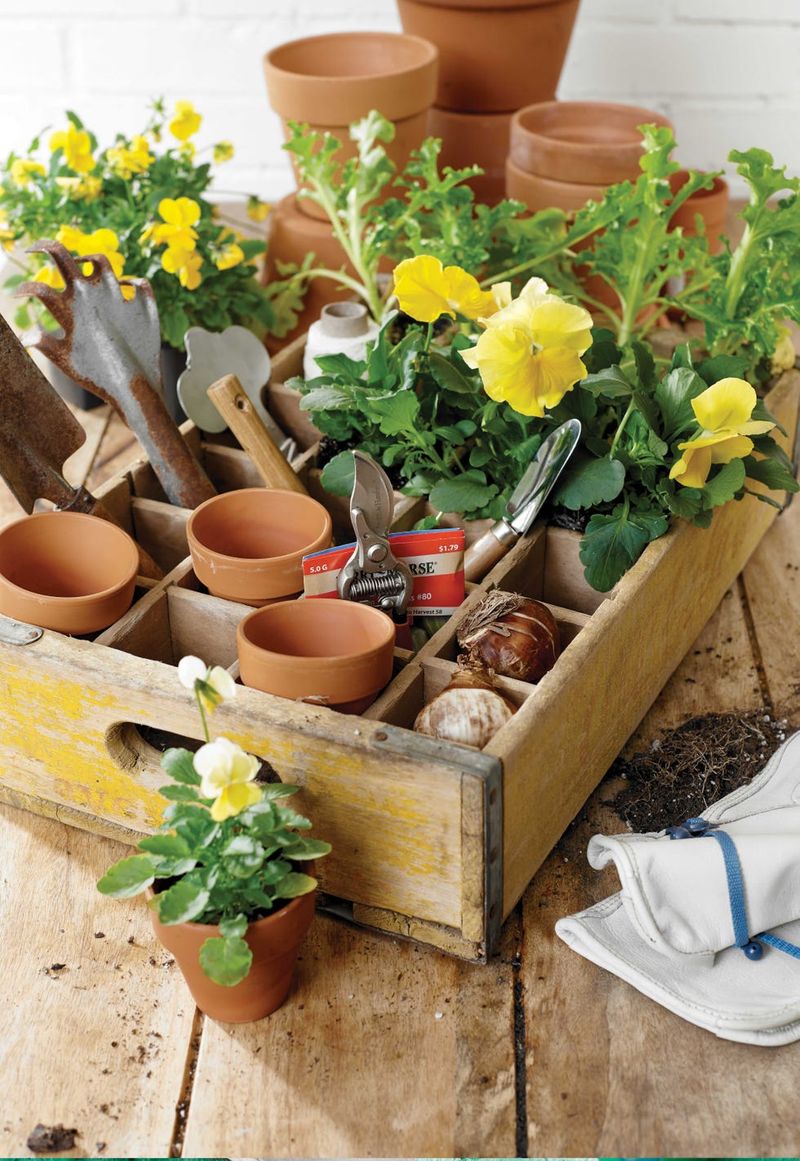 Empty Plant Pots