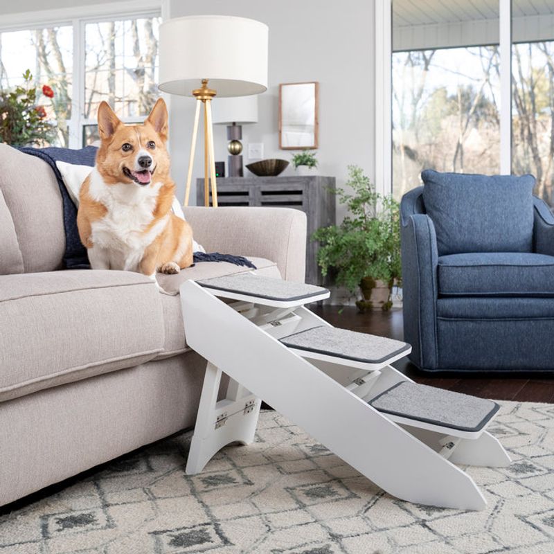 Pet Supplies and Evidence