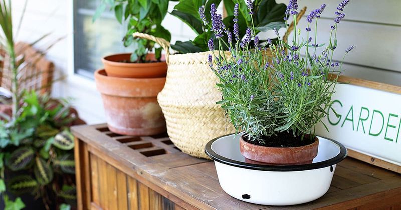Vintage Enamelware Pots