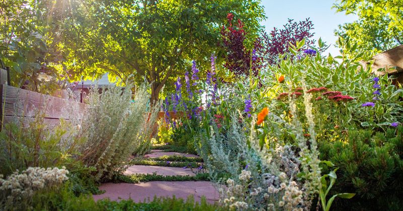Native Plant Landscaping