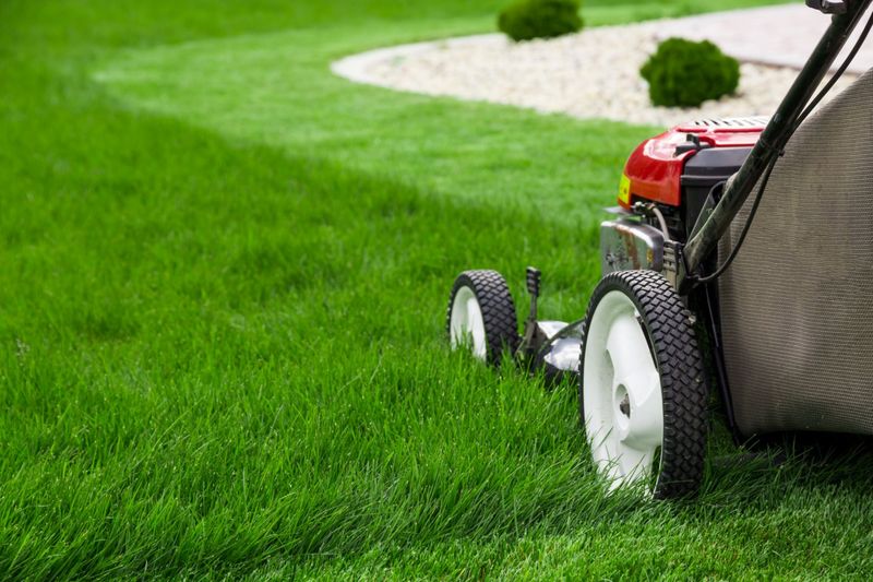 You Hate Mowing The Lawn